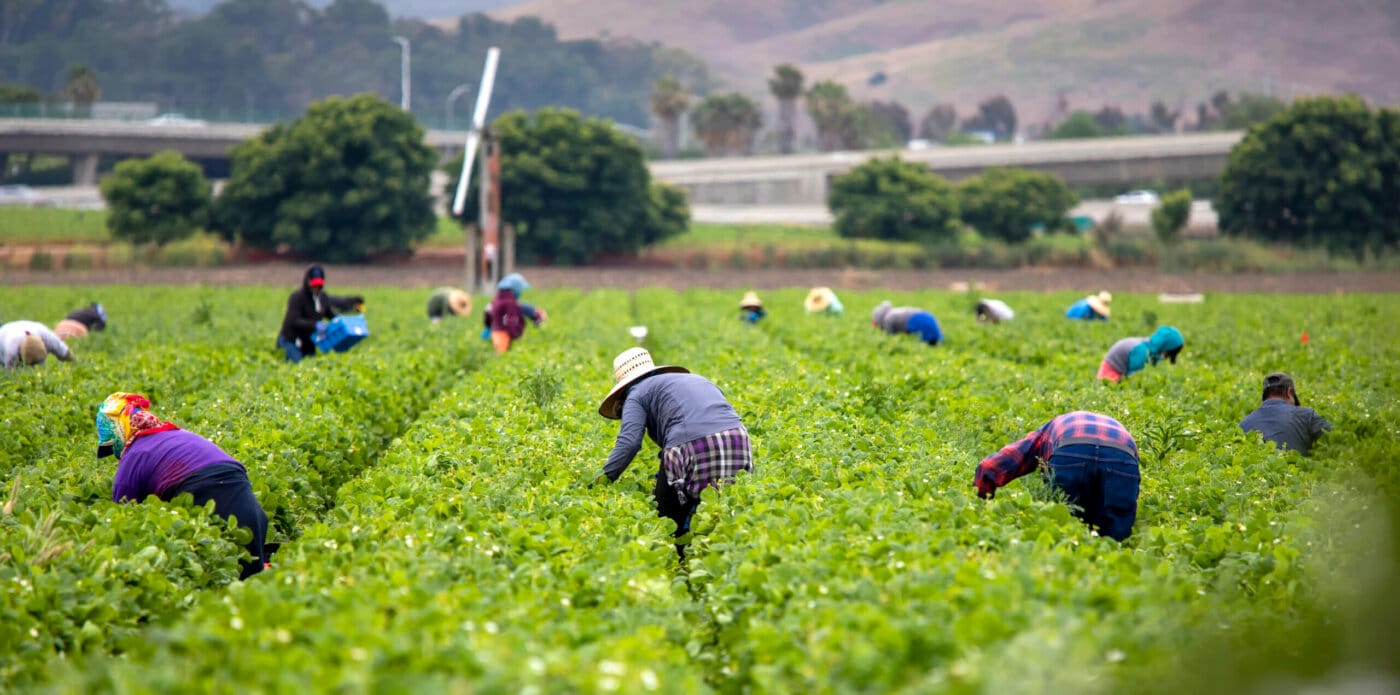 U.S. seasonal farmworkers