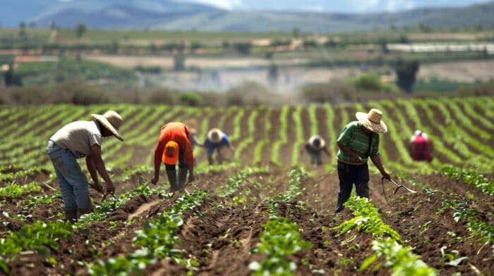 Migrant farm workers