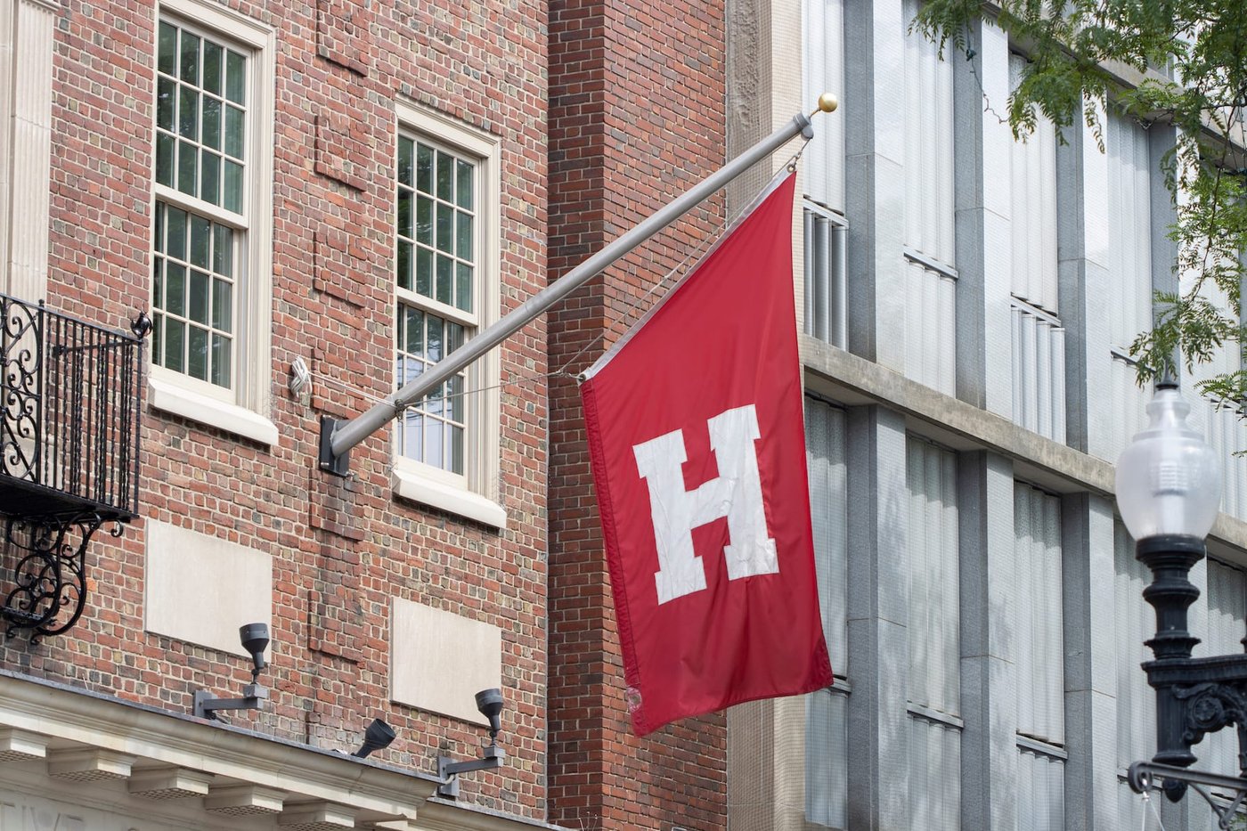 Harvard campus amid Trump crackdown
